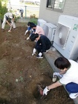 IMG_20241010_103944.jpg