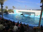 IMG_7964.JPG